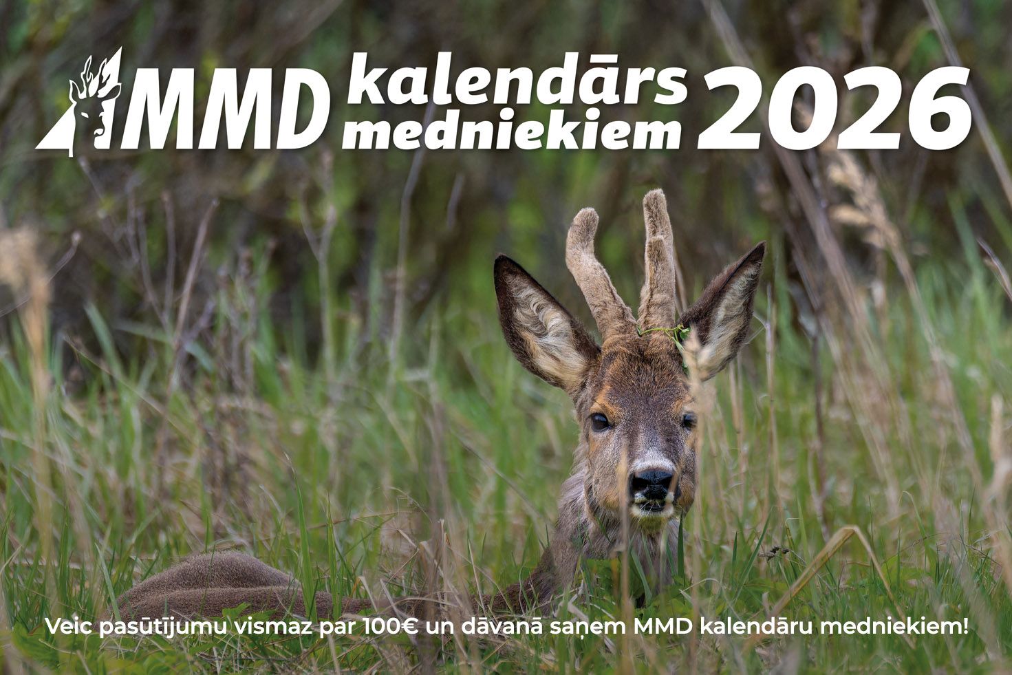 MEDĪBU TĒRPI image